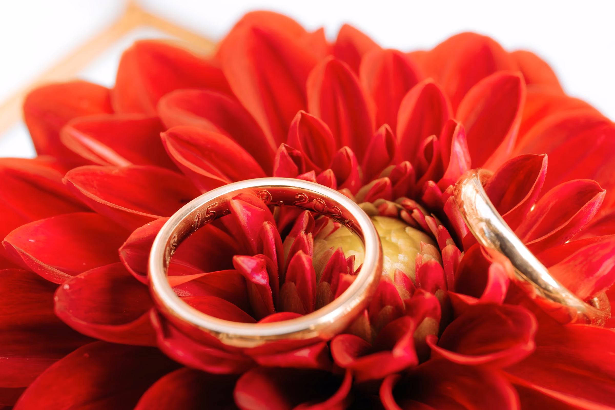 Luana e Giacomo — Fotografia di matrimonio 023
